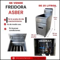 FREIDORA  REACONDICIONADA